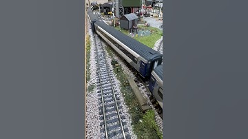 Peco streamlined points crossover.