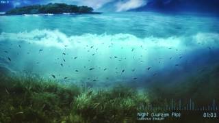 Ludovico Einaudi   Night Lørean Flip