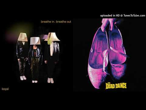 MASHUP | Lady Gaga Vs Koyal - We're Dancing 'Til We're Dead | C013 Huff