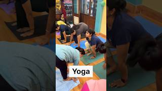 Surya Namaskar Morning Yoga Yogasan