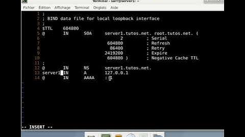 Configuration du serveur DNS sur Debian 10