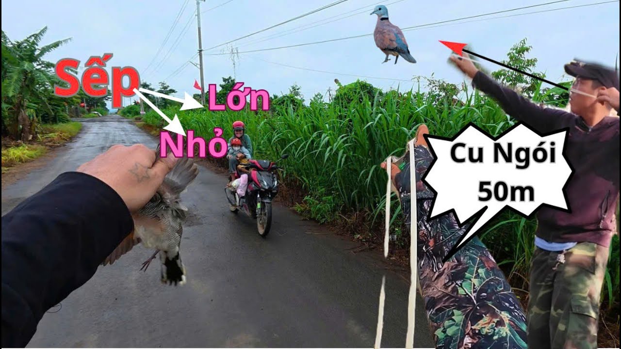 Dùng Ná Cao Su Đi Săn Dẫn 2 Sếp Lớn,Nhỏ Đi Theo Trải Nghiệm 1 Ngày Dăng Nắng Với || SangSlingShot