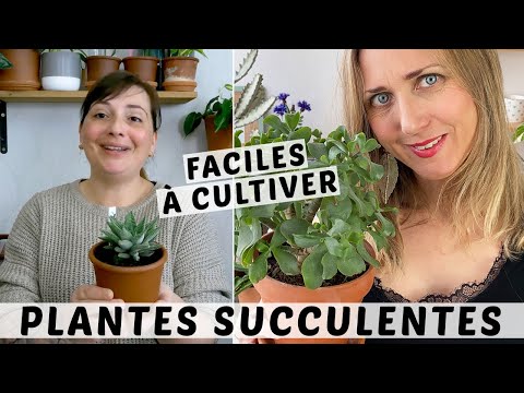 Vidéo: Soutien aux plantes de jardin de fleurs - Structures de soutien et plantes qui ont besoin de soutien