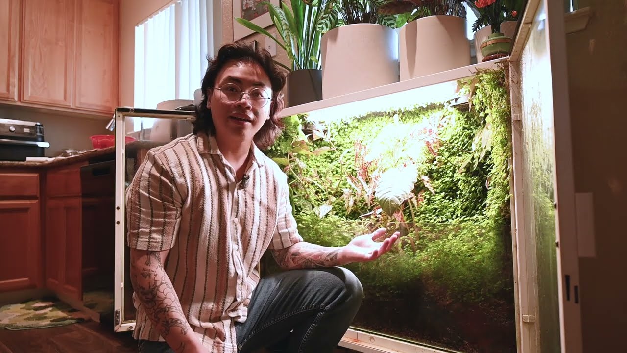 Ikea Cabinet Terrarium Maintenance