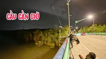 Câu Cá Trên Cầu Cần Giờ Có Cá ?
