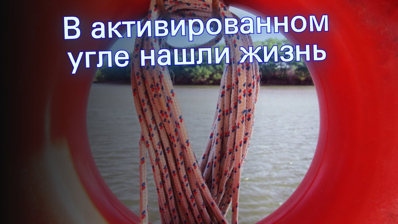 В активированном угле нашли жизнь - YouTube