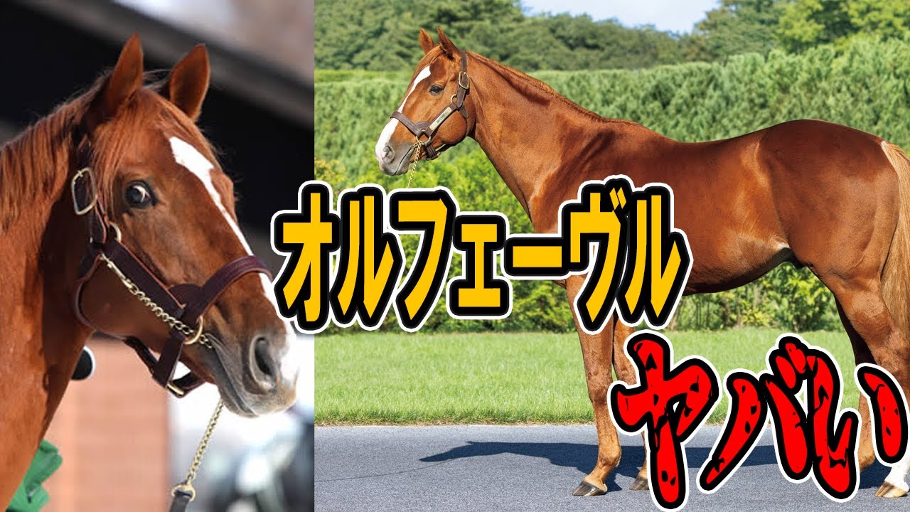 社台追放の危機】オルフェーヴルの成績がやばい - YouTube