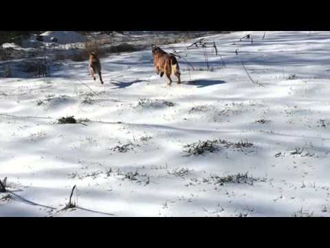 On Frozen Pond
