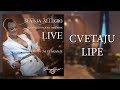 Sladja Allegro - Cvetaju lipe - (Official Live Video 2017)