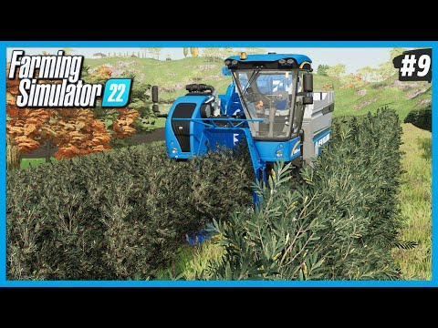 Farming Simulator 22 - Zeytin Bahçesinde Hasat Başladı! Siyah mı Yeşil mi? Sonbahar Mevsimi 9. Bölüm
