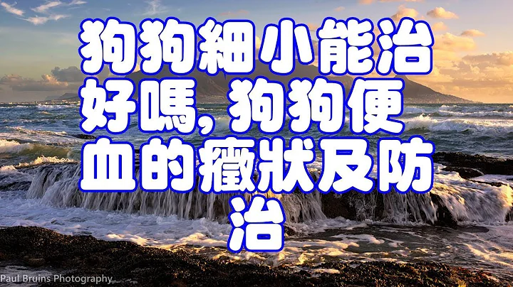狗狗细小能治好吗,狗狗便血的症状及防治 - 天天要闻