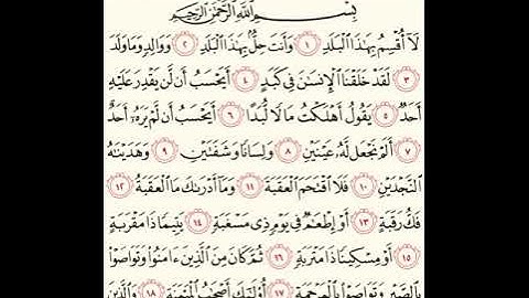 سورة البلد للشيخ زكي داغستاني رحمه الله
