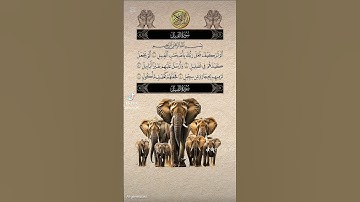 استمع إلي هذا القرآن الكريم واكتب الحمدلله #comedianmahmoudagamey #محمودعجمي #لايك #اكسبلور #لايك