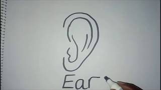 How to draw an ear for kids easy