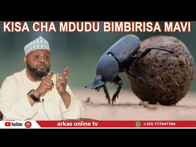 KISA CHA MDUDU  MAVI//SHEIKH OTHMAN MAALIM class=