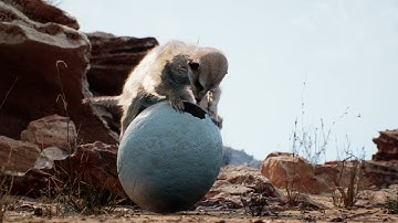 "Meerkat Demo" 4K in Unreal Engine Editor 5.1, Lumen GI & Reflection + 5.1 Audio