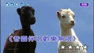 別怕我傷心~張信哲~男Gm調~伴奏~導唱丙