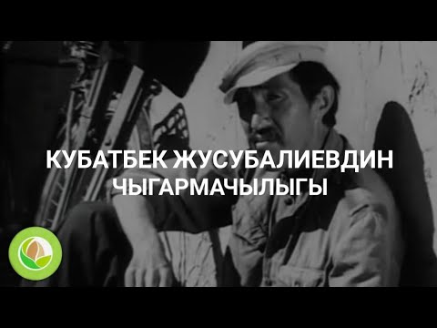 Video: Ички сынчы. Түрчөсү 