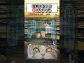 理解するのに 9秒かかった #漫画 #アニメ #anime #漫画紹介