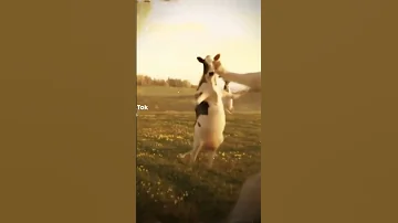 حنونه نونه نونه 