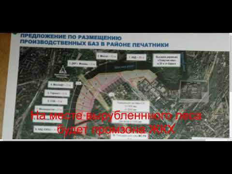 Лес в Курьяново