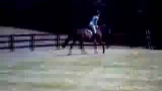 my down-syndrome horse