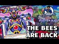 *** THE BEES ARE BACK!! CAN THEY MAKE A COMEBACK???*** Battlewasp / Beetrooper / Insect Master duel