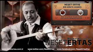 Neşet Ertaş -  Bir Kökte Uzamış  ( Sözler Açıklamada ) Resimi