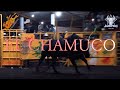 EL CHAMUCO VS CHICHARO DE ZITACUARO