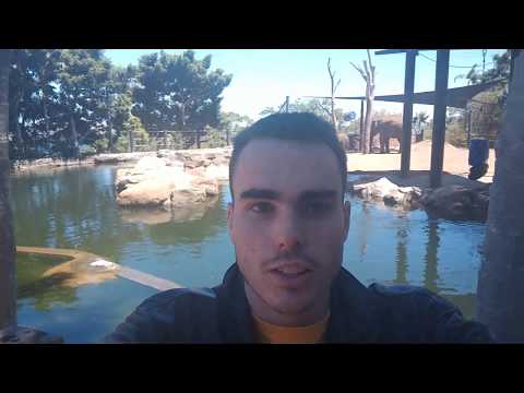 Me at the Zoo (2019 remake at Taronga Zoo Sydney Australia)'s Avatar