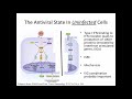 Immunology Lecture 5: Antiviral State and PRRs