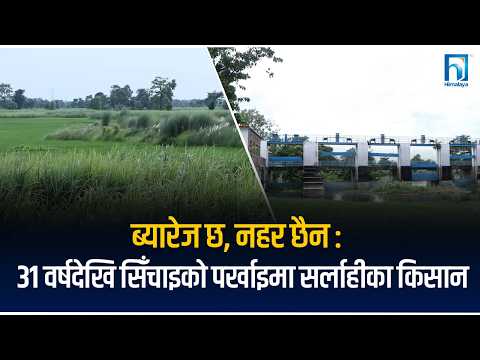 ३१ वर्षदेखि अलपत्र सिँचाइ ब्यारेज, किसान अझै पानीको पर्खाइमा | Himalaya TV