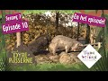 Finner Cassanova-grisen Pumba kjærligheten? | Dyrepasserne S3E10 | Dyreparken