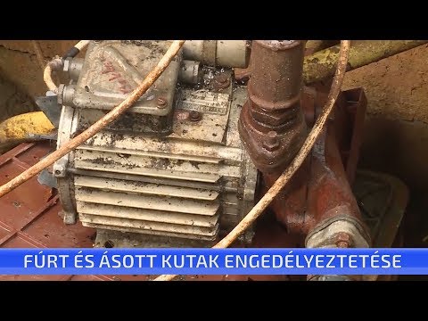 Videó: A Kosár Engedélyezése