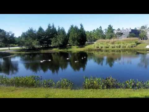 Capa de Cameron Art Museum - Pond Walk