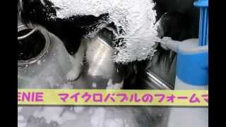 ジーニーフォームマスター