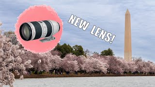 POV Photography At The Cherry Blossom Festival | Visual Voyage Ep. 7 POV Photography At The Cherry Blossom Festival | Visual Voyage Ep. 7