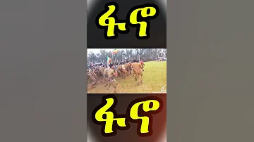 ና በለው ምርጥ የፋኖ ሙዚቃ Best Fano Music 