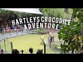 HARTLEY'S CROCODILE ADVENTURES! CROCODILE ATTACK SHOW | CROC RIVER CRUISE !