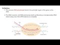 How DNA Makes RNA? #DNATranscription#NEETBiology#APBiology#MolecularBiology#BiologyMadeEasy#Genetics