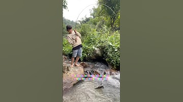 Cậu bé câu cá và con cá Vàng! #shorts