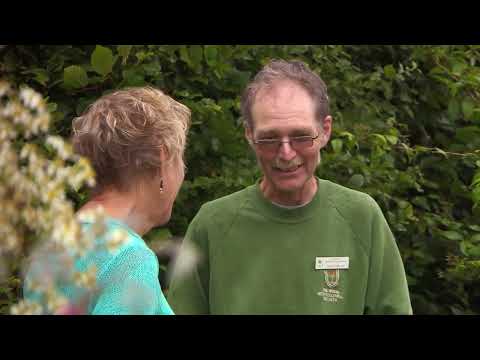 Carol Klein S Exclusive Look At The Most Vibrant Flower Garden 