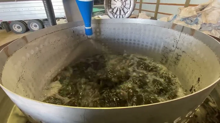 New Bio 5 Extractor - Farm Scale Compost Extract U...
