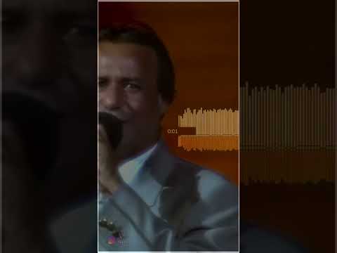 رياض احمد ظلمه ودرب عاثور