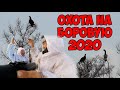 Охота на глухаря и тетерева / Боровая 2020 / уникальные кадры с охоты