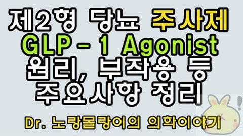 GLP-1 수용체 유사체(GLP-1 receptor agonist): Exenatide(엑세나타이드), Liraglutide(리라글루타이드) 기전, 부작용, 용법 주요사항