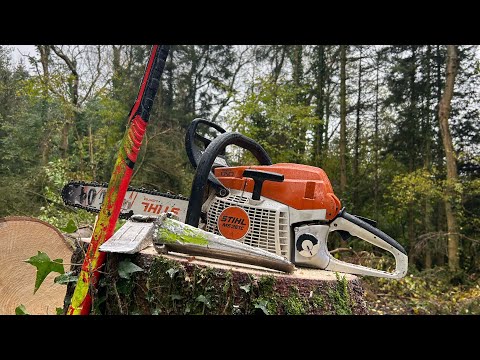 2.9 Million views of a tree felling Viral Video of a Hung up tree, this is how it happened...