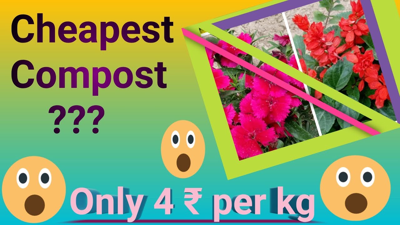 Cheapest compost ( सबसे सस्ता कम्पोस्ट ) complete information by