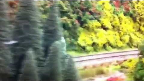 Murphy models Irish class 071 dcc sound