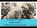 ЭСТОНИЯ. ЦЕНЫ на бензин , электричество , коммунальные платежи